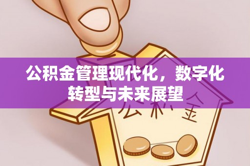 扶绥公积金管理现代化，数字化转型与未来展望