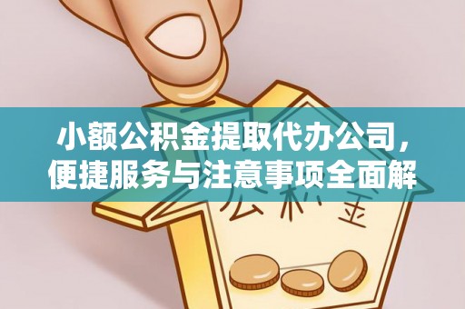 扶绥小额公积金提取代办公司，便捷服务与注意事项全面解析