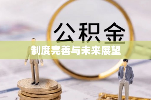 扶绥制度完善与未来展望