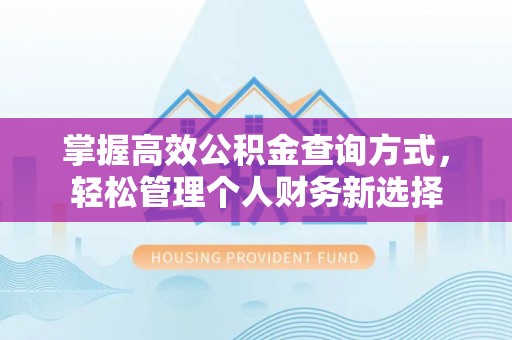 扶绥掌握高效公积金查询方式，轻松管理个人财务新选择