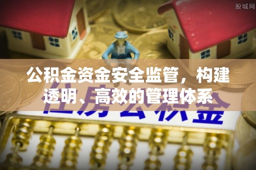 扶绥公积金资金安全监管，构建透明、高效的管理体系