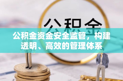 扶绥公积金资金安全监管，构建透明、高效的管理体系