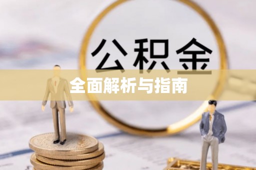 扶绥全面解析与指南