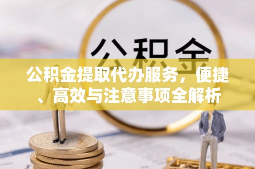 扶绥公积金提取代办服务，便捷、高效与注意事项全解析