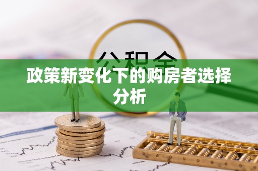 扶绥政策新变化下的购房者选择分析