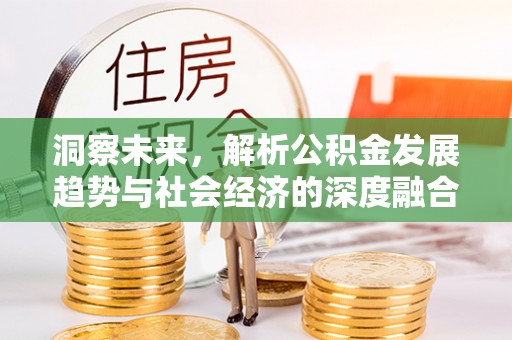扶绥洞察未来，解析公积金发展趋势与社会经济的深度融合