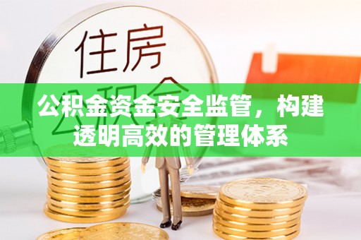 扶绥公积金资金安全监管，构建透明高效的管理体系