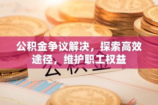 扶绥公积金争议解决，探索高效途径，维护职工权益