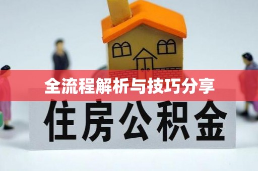 扶绥全流程解析与技巧分享